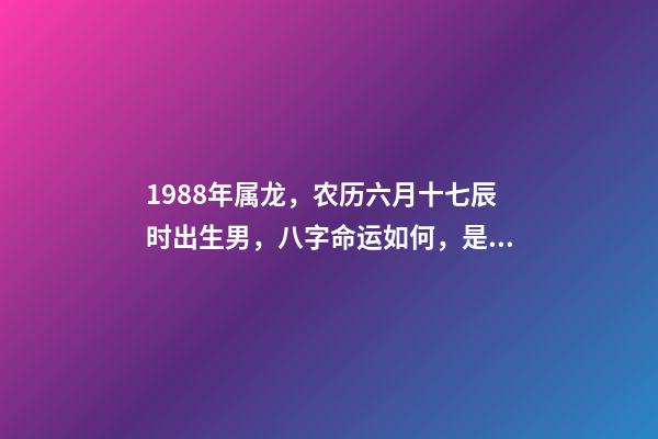 1988年属龙，农历六月十七辰时出生男，八字命运如何，是什么命，要注意什么？ 1988年农历六月十一生男命,求一生的运程-第1张-观点-玄机派